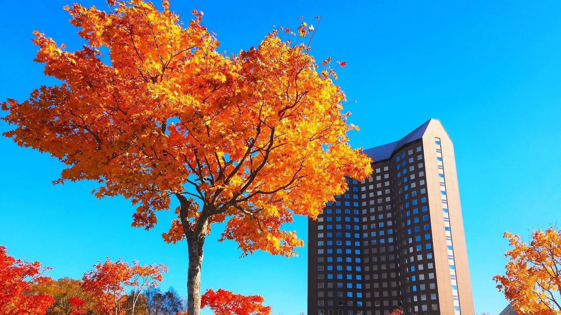 The Westin Rusutsu Resort